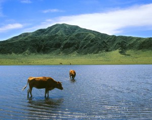 草千里ヶ浜3